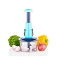 Manual Fruit & Vegetable Chopper - Stainless Steel Kitchen Cutter & Slicer
